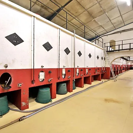 La Maison De Clement Lisle-sur-Tarn