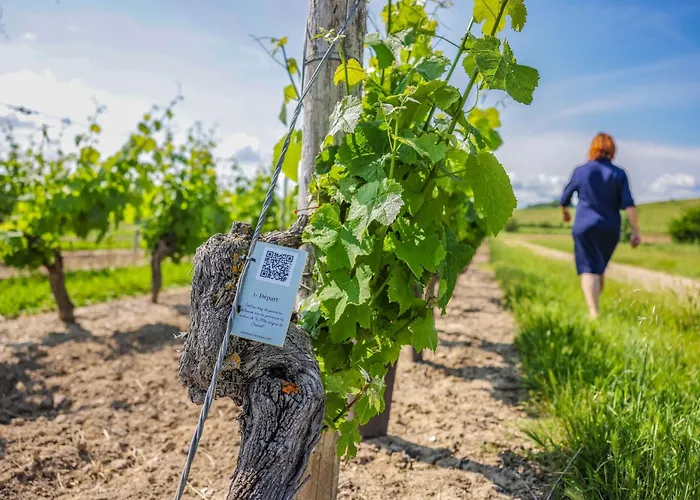 La Maison De Clement بيت للعطل *
