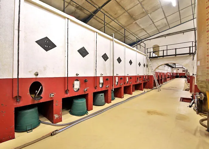 La Maison De Clement Lisle-sur-Tarn