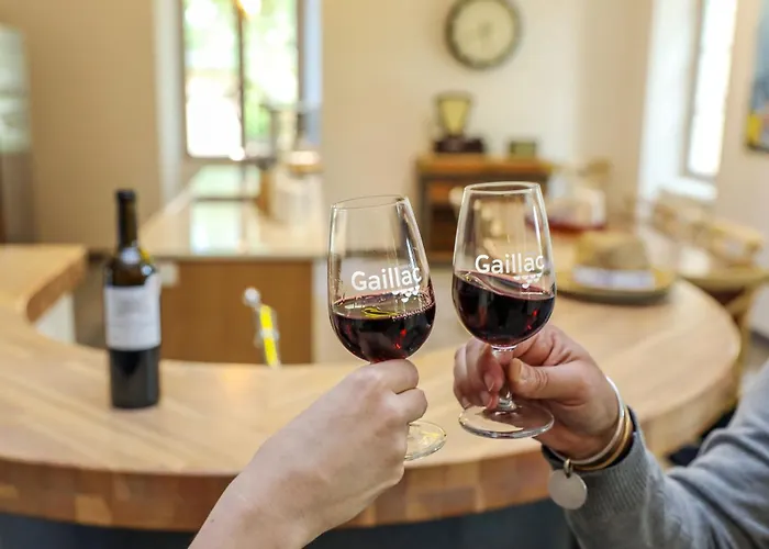 La Maison De Clement Lisle-sur-Tarn